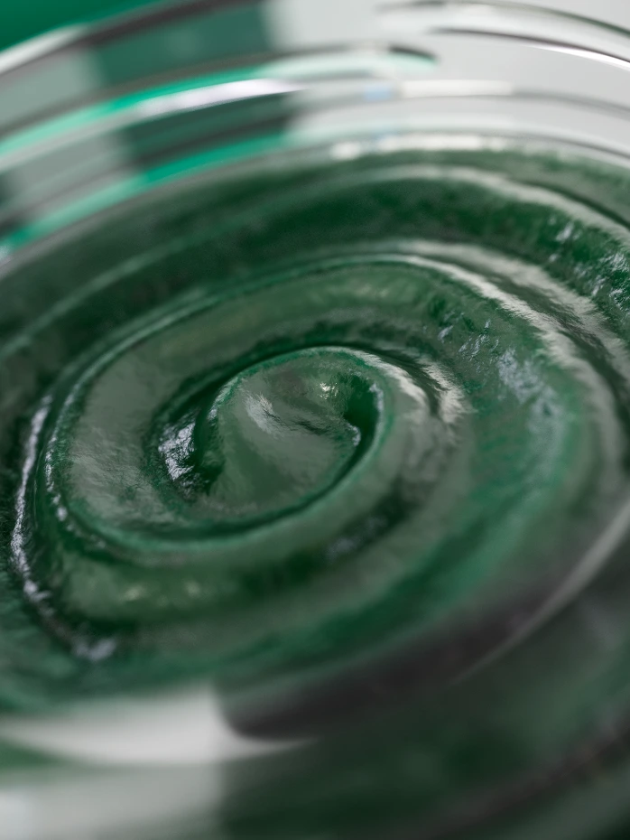 Etikett frische Spirulina ALGENWERK.webp